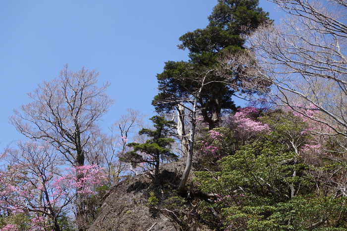 dsc08206