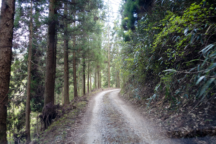 dsc08292k