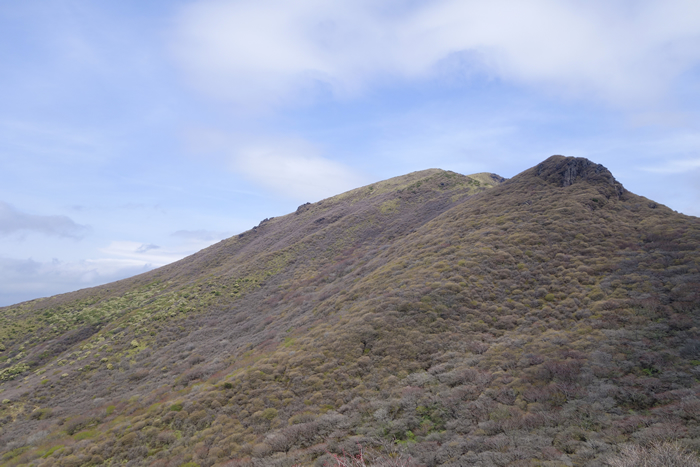dsc08531k