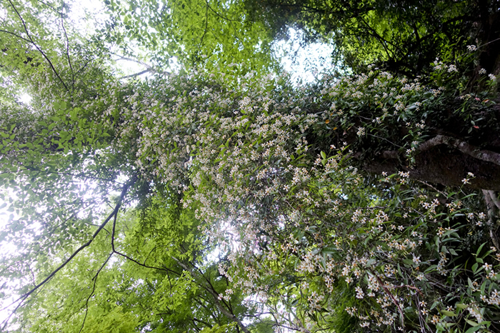 dsc00117k