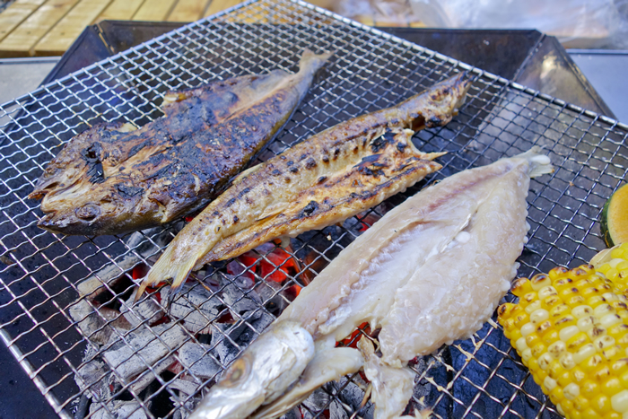 DSC02068_1