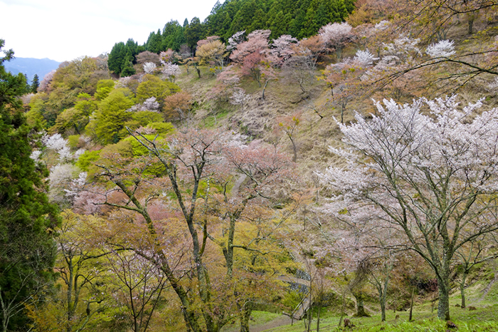 13_201504151656095e6