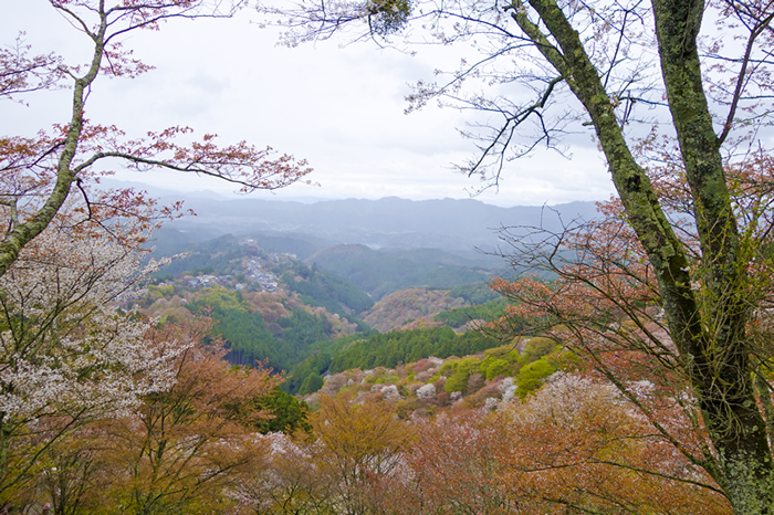 21_201504151656173d9