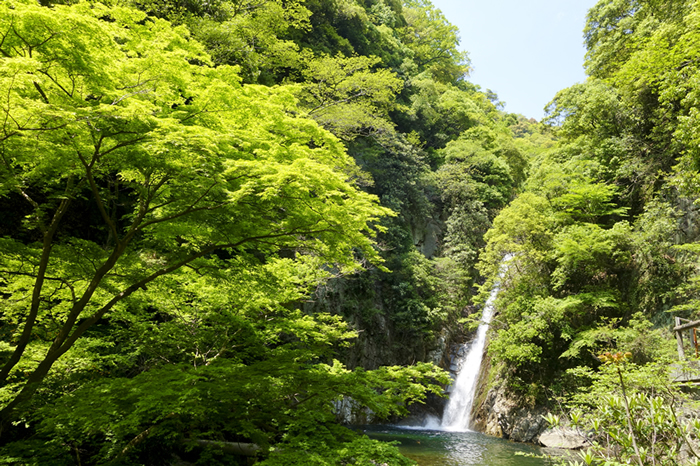 dsc00832k