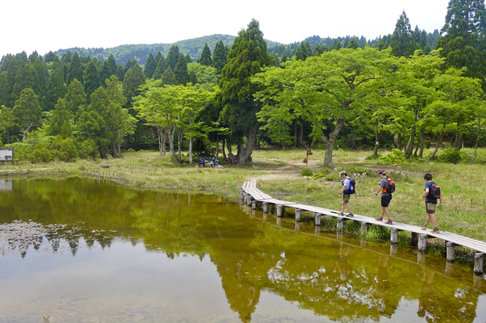 dsc03538k