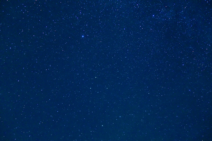 DSC07005k