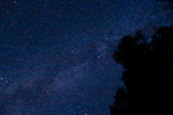 DSC02757k