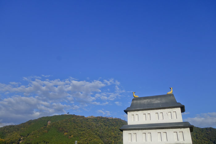 DSC04318k