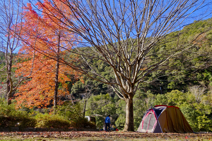 DSC05949k