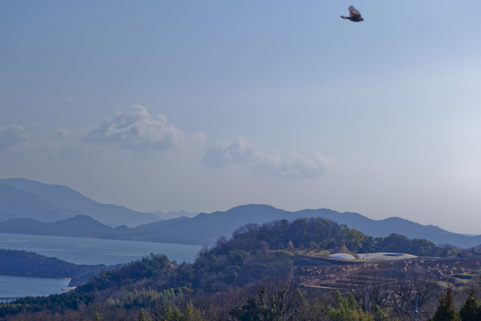 DSC07859k