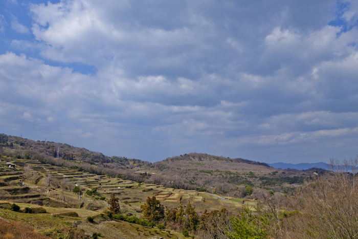DSC07998k