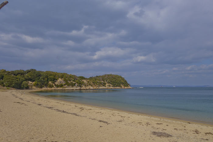 DSC08089k