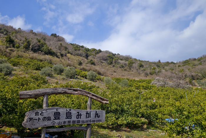 DSC08094k