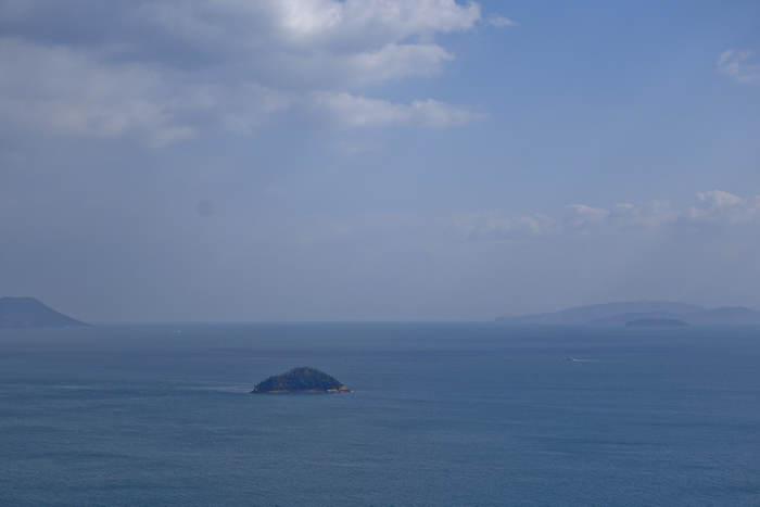DSC08095k