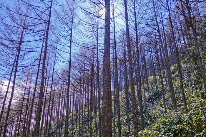 DSC08345k