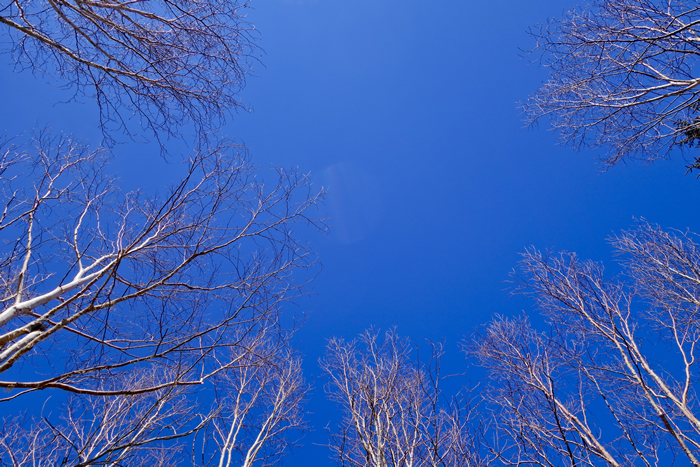 DSC08356k