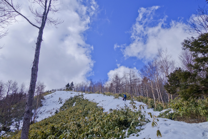 DSC08381k