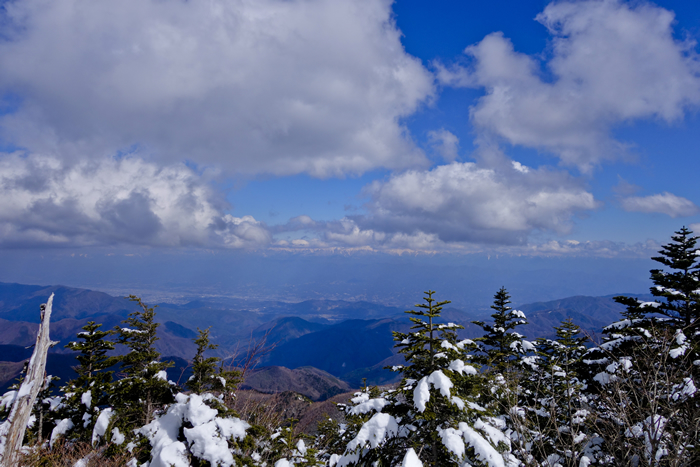 DSC08492k