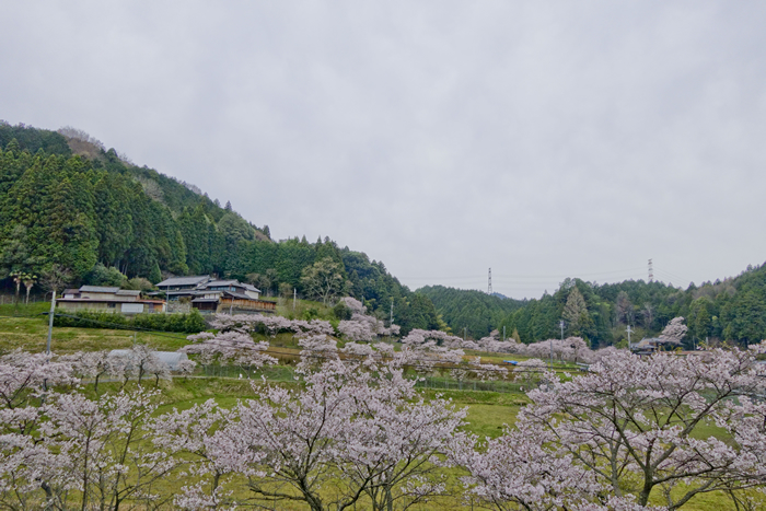 DSC09432_1