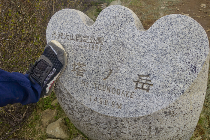 DSC00737_1