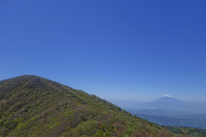 DSC01473_1
