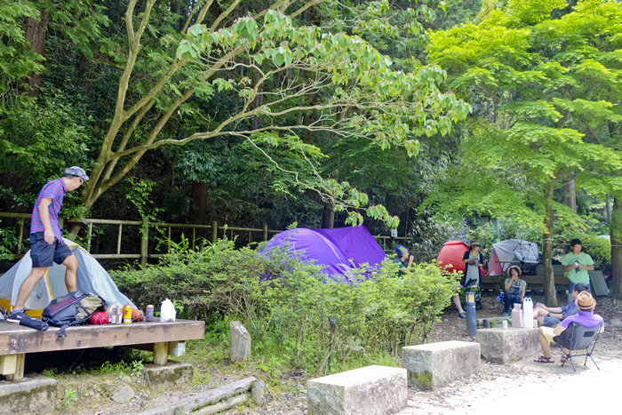 DSC02017_1