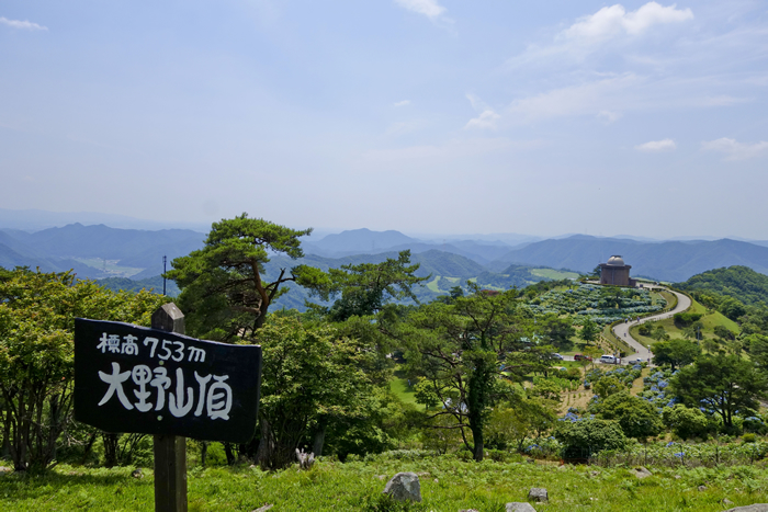 DSC03190_1