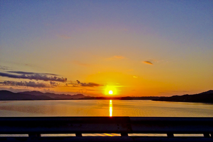 S__4562969_1