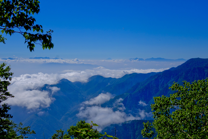 DSC01150k_1