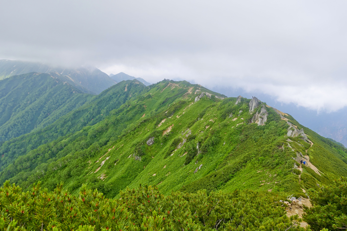 DSC01682_1