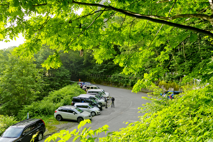 DSC03544_1