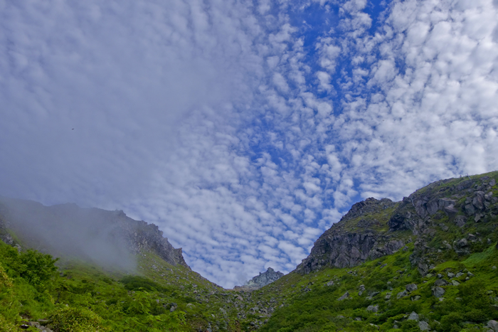 DSC03598_1