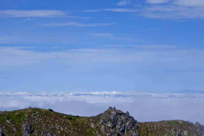 DSC03766_1