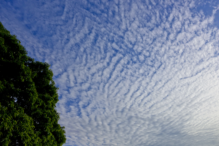 dsc02319k