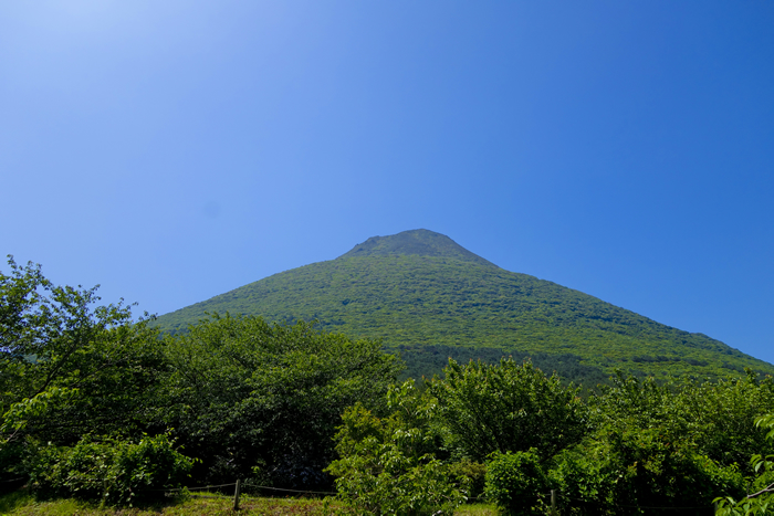 dsc02432k