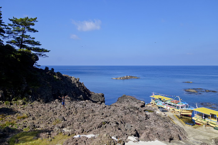 dsc08604k