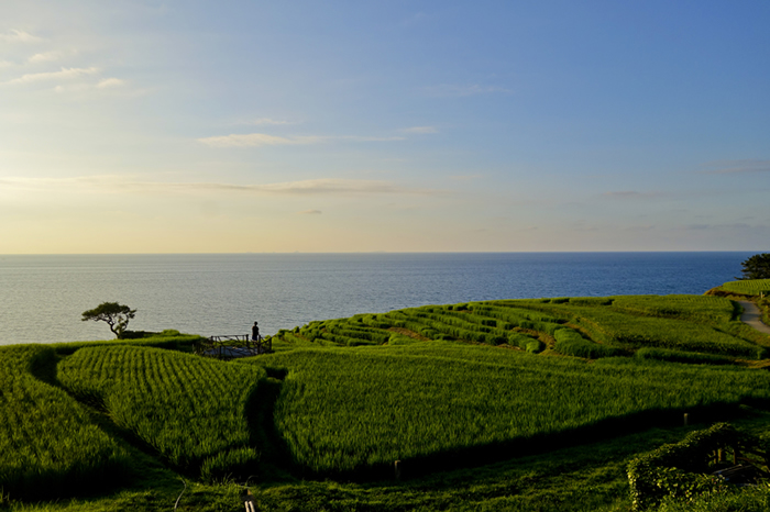 dsc09182k