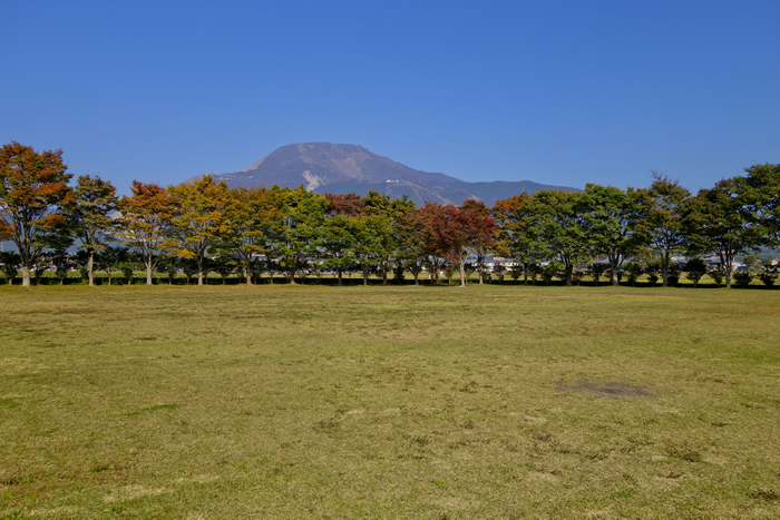 dsc07316_1