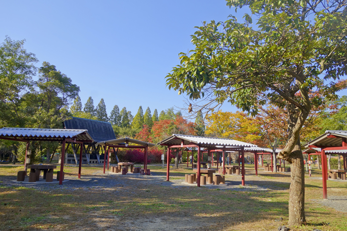 dsc07356_1