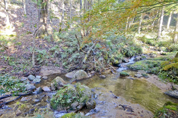 dsc08078_1