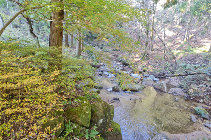 dsc08080_1