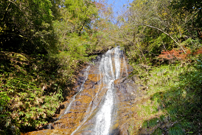 dsc08113_1