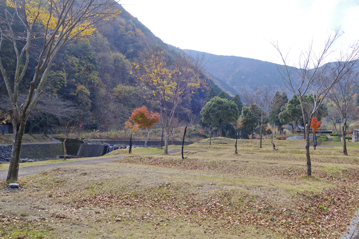 dsc08658_1