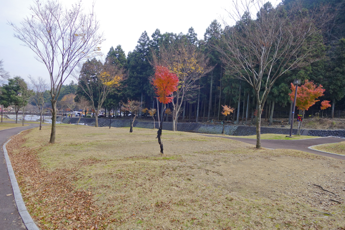 dsc08659_1